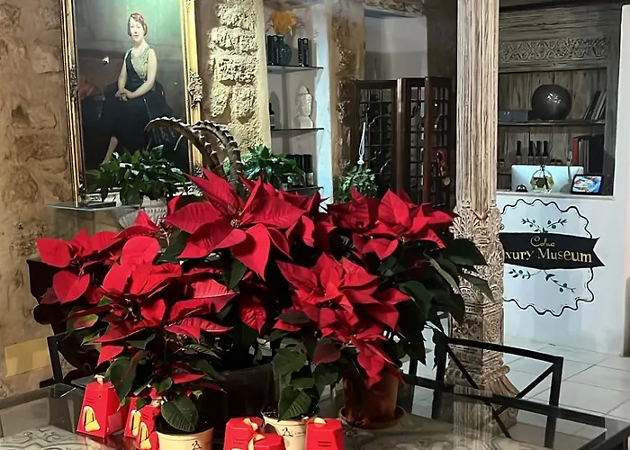 Pensión Atrium Experience 4*