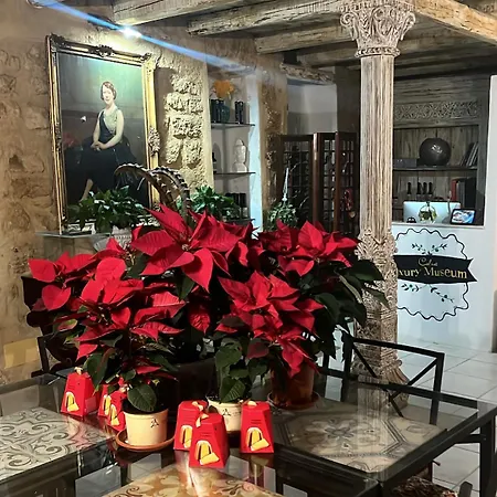 Guest house Atrium Experience 4*